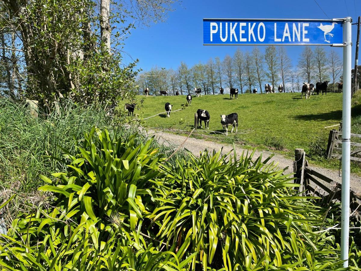 Apartament Pukeko Lane Tauranga Zewnętrze zdjęcie